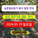 (공지)경기도 화성시 송산면 농촌일손돕기 자원봉사 일정안내(5월19일) 이미지