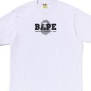 화이트fit 네이버블로그