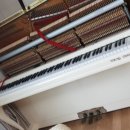 일동상회 이미지