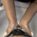 컴포즈커피왕십리텐즈힐점 | 왕십리피부관리 아섬 두피&바디 왕십리점, 프라이빗 1인샵 왕십리에스테틱 헤드스파 후기