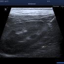 24시폴동물병원 이미지