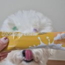 이지덴탈 | 이지츄 도그 시그널 덴탈껌 냠냠 후기 :)