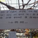 대저국수 이미지