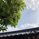 평불 이미지