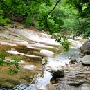 호박소가는길 이미지