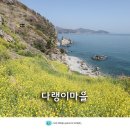 상주면경로식당 | 남해 다랭이마을 두모마을 유채꽃 경남 남해 벚꽃 명소 왕지벚꽃길 등