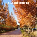 묵곡 | 진주 근교 드라이브 코스 산청 카페 리버노트 단성묵곡생태숲