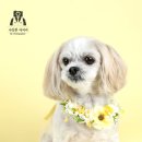 진관-044 이미지