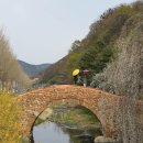 창녕 영산 만년교 이미지