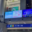 뉴당구매니아 | [일상] 첫 외박 나온 이병 짝꿍과 서울 나들이하는 20살 곰신 일상