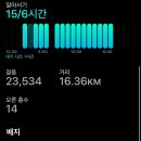 세븐일레븐남대문본점 | 1st day in Japan🇯🇵 (나라사슴공원/기요미즈데라,청수사/도다이지,대불전/오멘/나카타니도/일본 편의점...