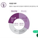 디자인마루 이미지