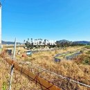 지성공인중개사사무소 이미지