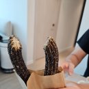 내돈내산 힐스테이트 몬테로이 앞 상상 츄러스 푸드트럭 맛 후기