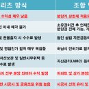 상플랜