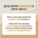 셀렌뷰티