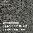 지남미장 이미지