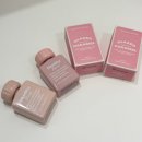 11500-13-01-11 | [내돈내산] 얼터너티브스테레오 립 포션 카라멜 글레이즈 11누디티피치, 13누디티로즈 후기