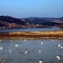 고니축산 이미지