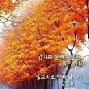 엔돌핀PC 이미지