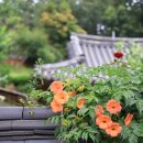 김봉호가옥 이미지