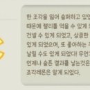 포푸리 이미지
