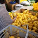 수원-0489 이미지