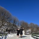 항구목장 이미지