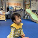 세종짐보리 | 세종 짐보리 8개월~18개월 다녀본 후기(사진 많음)
