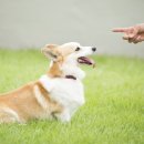 하진메디칼 이미지