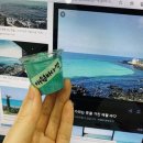 제주도립미술관 이미지