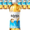 보리베리 이미지