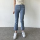 진901