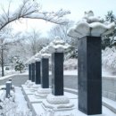 그루밍:담 이미지