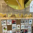 원애견&뭉까두까 이미지