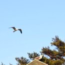 소올펜션 이미지