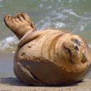 유성온천역 3번출구 이미지