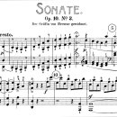 베토벤 '피아노소나타 7번' 피아노와 같은 독주악기를 위한 소나타는 3악장의 구성이 흔하지만, 실내악이나 관현악을 위한 소나타 (현악사 이미지