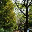 논현고잔로 168번길 이미지