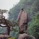 황산민박 네이버블로그