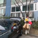 땡글이네 이미지