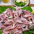 천수횟집 | [1년 전 오늘] 잠실새내 전어회 전어구이가 맛있는 횟집 천수횟집 방문 후기