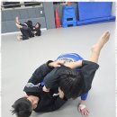 흑추관 화랑도장 이미지