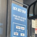 봉명초교 | 김해대방어맛집 형제도매횟집 김해본점,전어회부터 물회,해삼,매운탕까지
