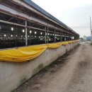 매산농장 이미지