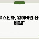 신화랑 이미지