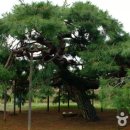 이천2리마을회관 이미지