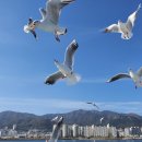 송기획 이미지