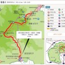 천안본정형외과의원 Daum카페