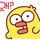 단비다육